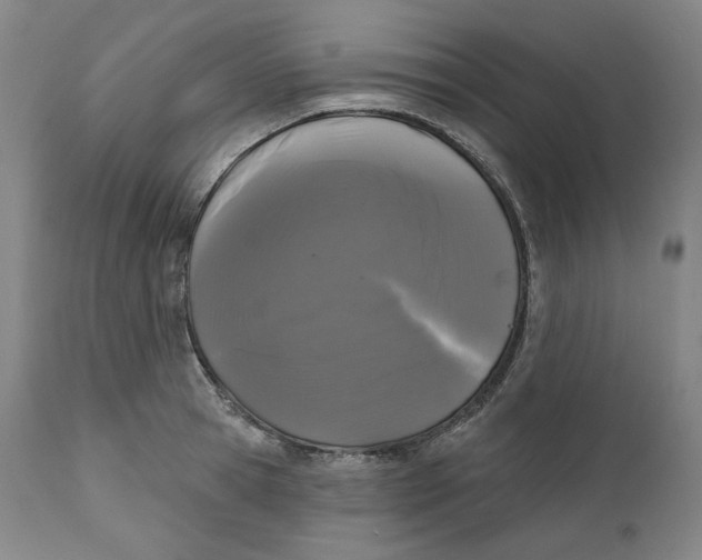 X0000111640945200908071339