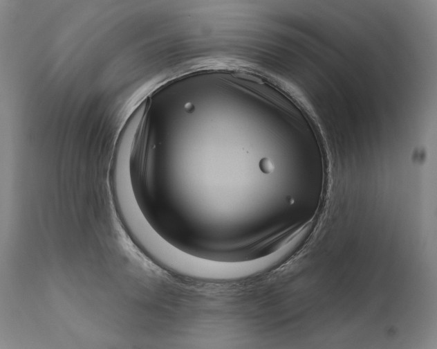 X0000111640946200908071339