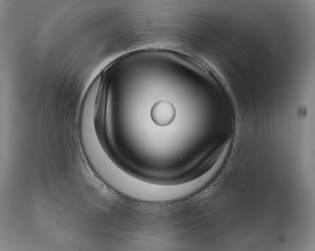 X0000111640948200908071339