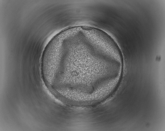 X0000111640949200908071339