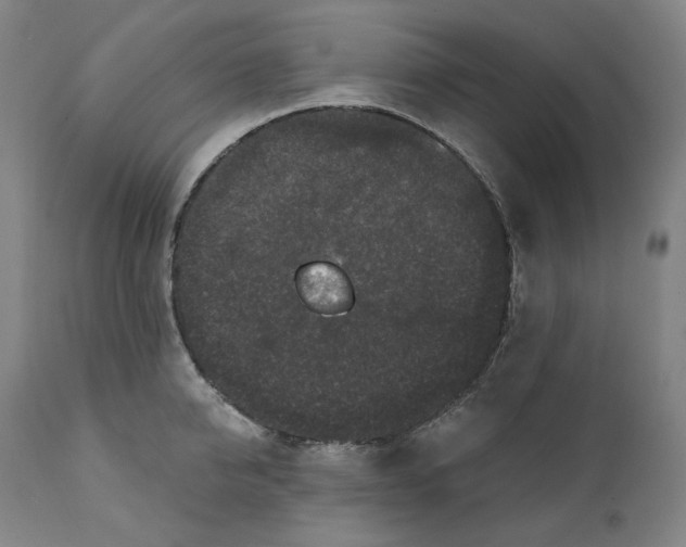 X0000111640950200908071339