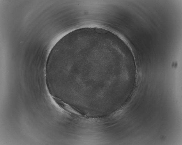 X0000111640951200908071339