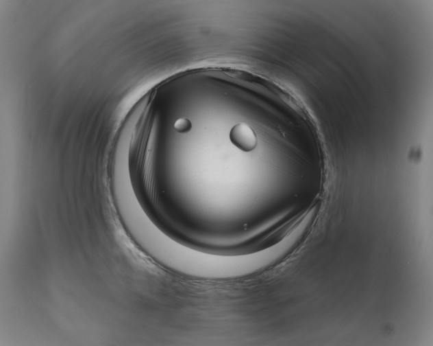 X0000111640952200908071339