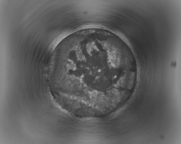 X0000111640953200908071339