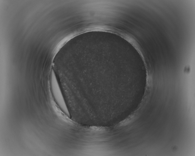 X0000111640954200908071339