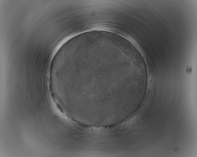 X0000111640955200908071339