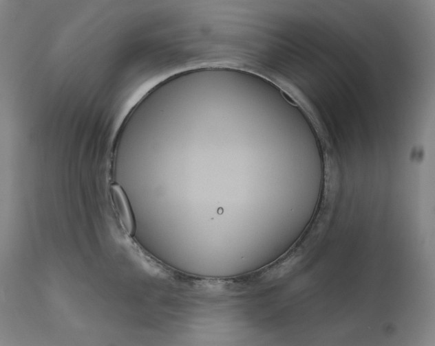 X0000111640956200908071339