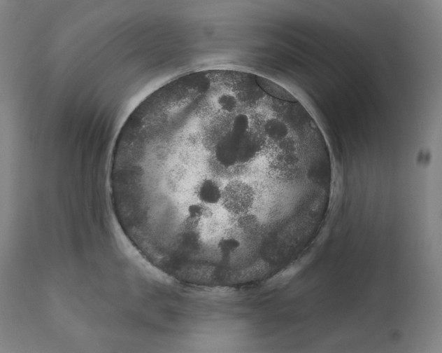 X0000111640957200908071339