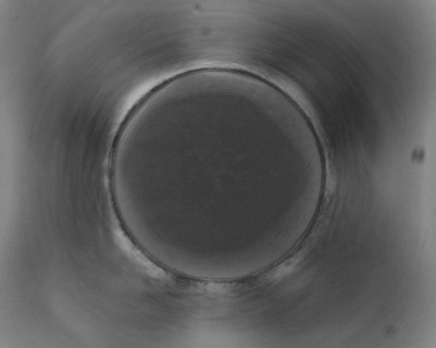 X0000111640958200908071339