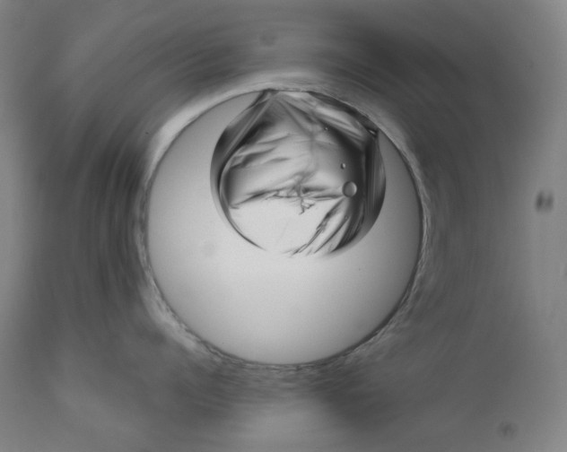 X0000111640960200908071339