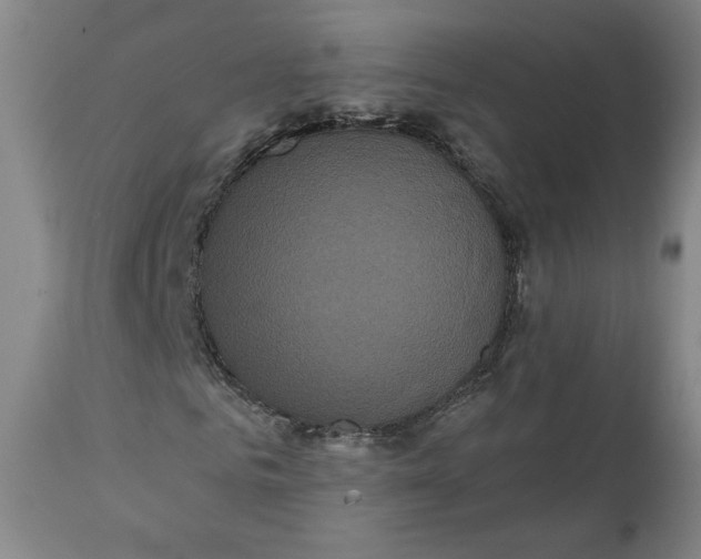 X0000111640961200908071338