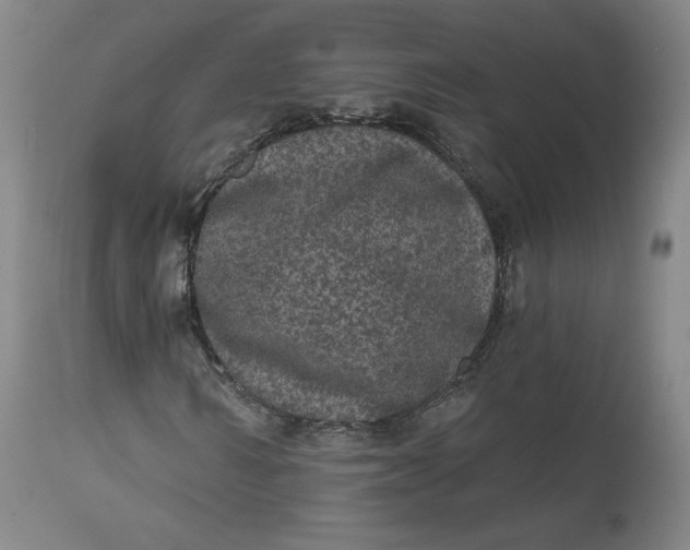 X0000111640962200908071338