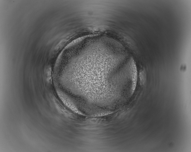 X0000111640963200908071338