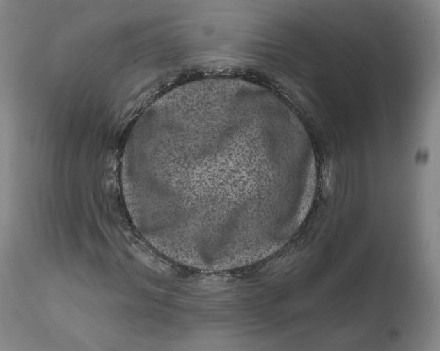 X0000111640964200908071338