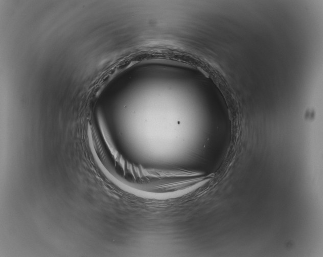 X0000111640965200908071338