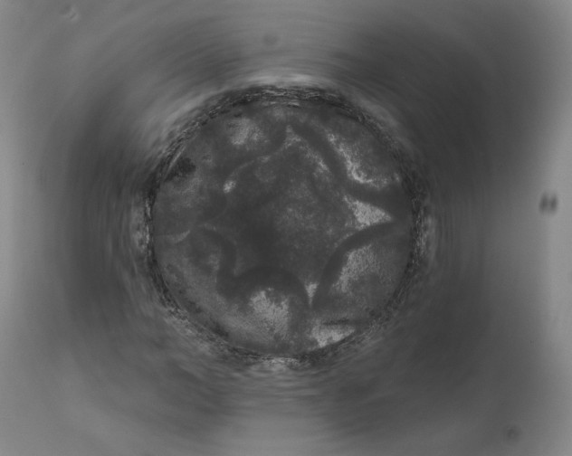 X0000111640966200908071338