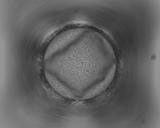 X0000111640967200908071338