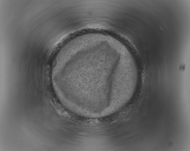 X0000111640968200908071338