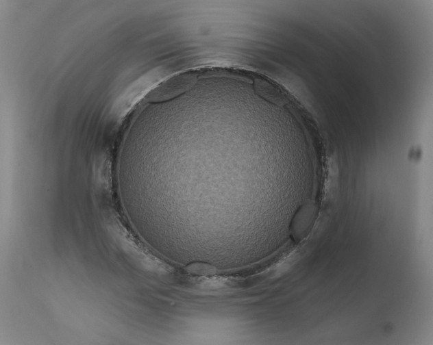 X0000111640969200908071338