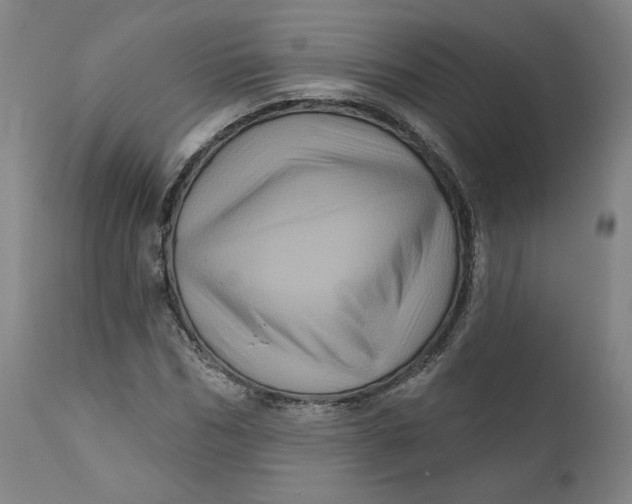 X0000111640970200908071338