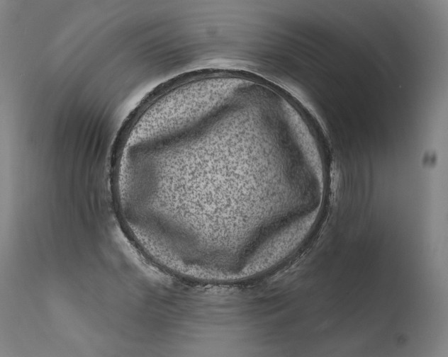 X0000111640972200908071338