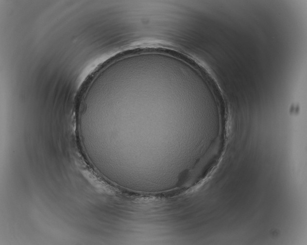 X0000111640973200908071338