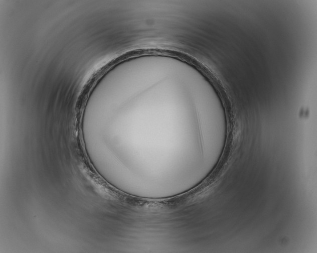 X0000111640974200908071338