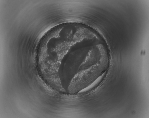 X0000111640975200908071338