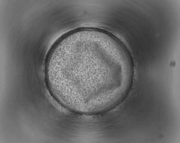 X0000111640976200908071338