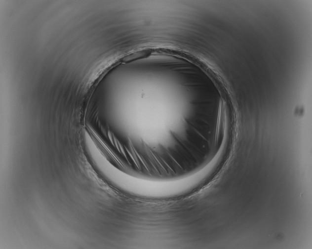 X0000111640977200908071338