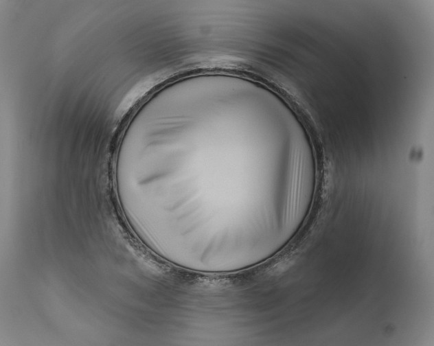 X0000111640978200908071338