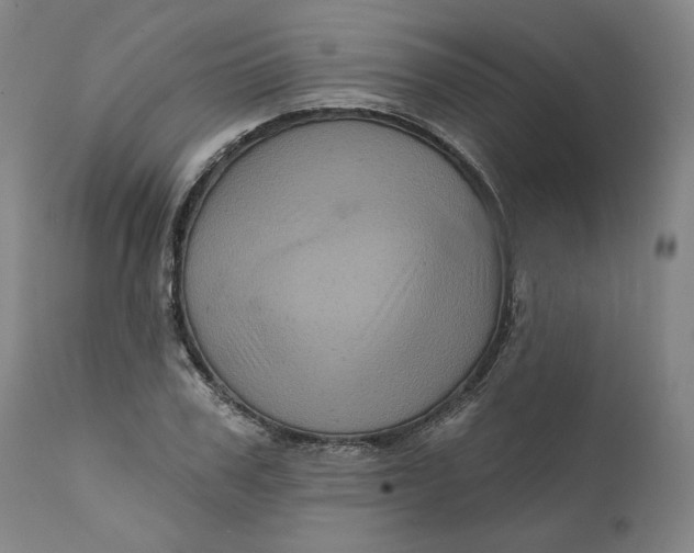 X0000111640979200908071338