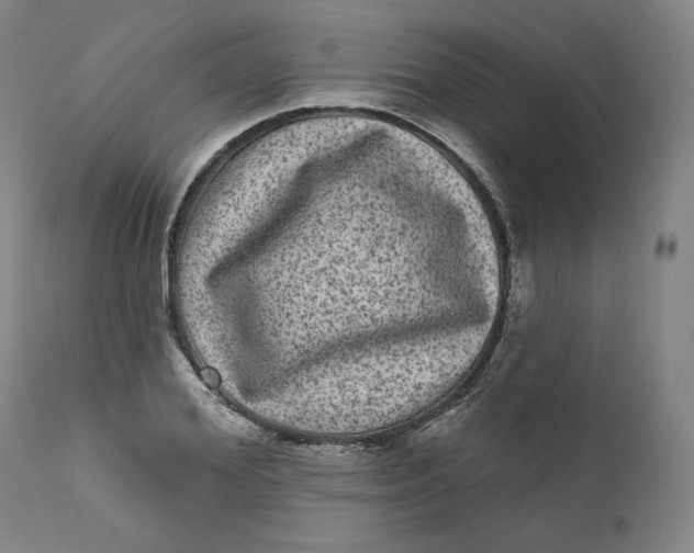 X0000111640980200908071338