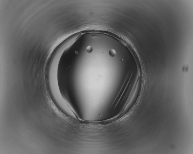 X0000111640981200908071338