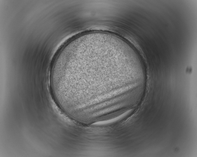 X0000111640984200908071338