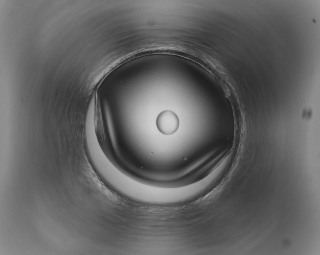 X0000111640985200908071338