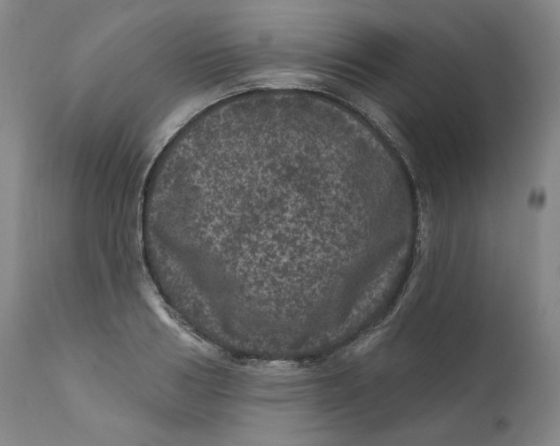 X0000111640986200908071338