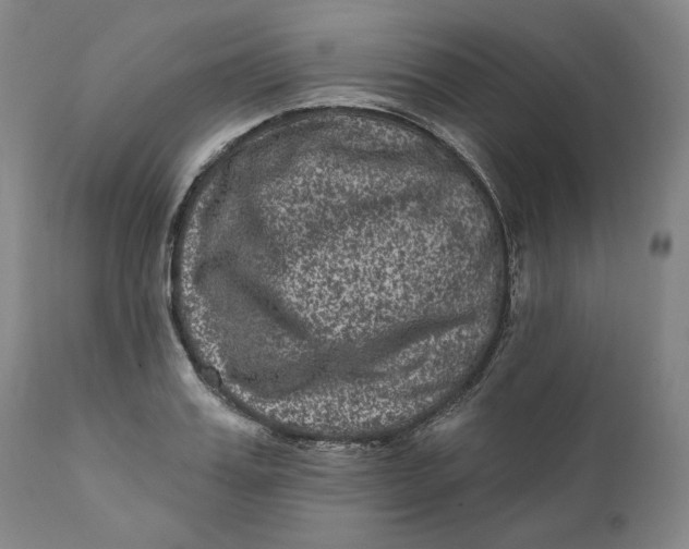 X0000111640987200908071338