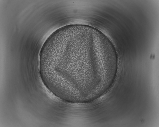 X0000111640988200908071338