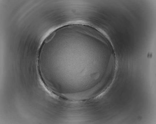 X0000111640989200908071338