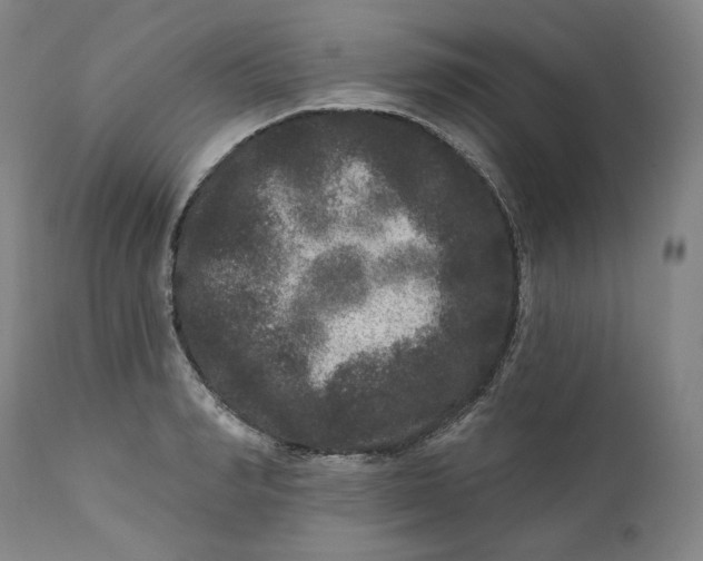 X0000111640990200908071338