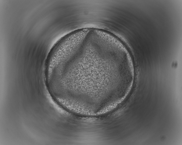 X0000111640991200908071338