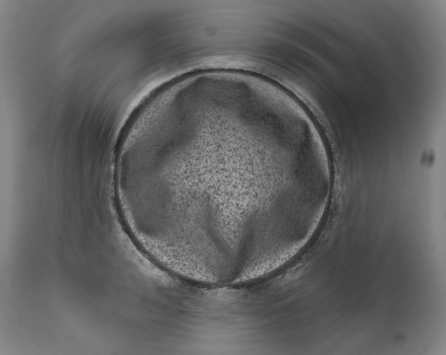 X0000111640992200908071338