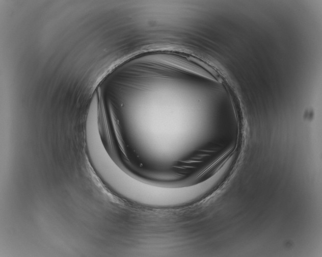 X0000111640993200908071338