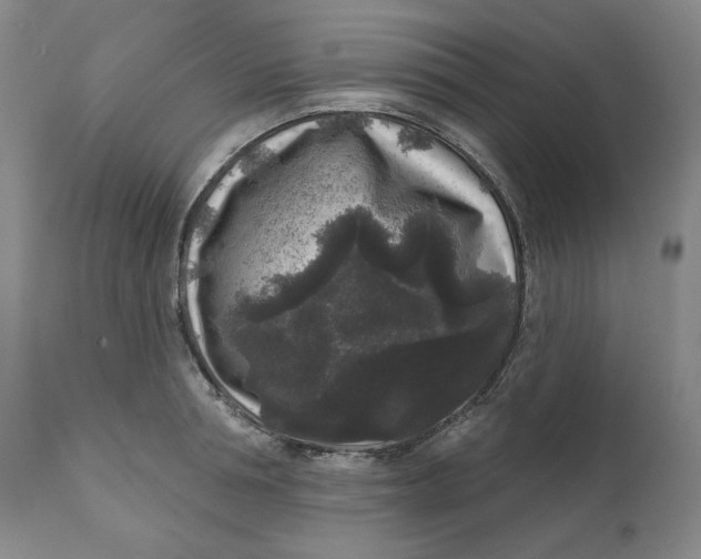 X0000111640994200908071338