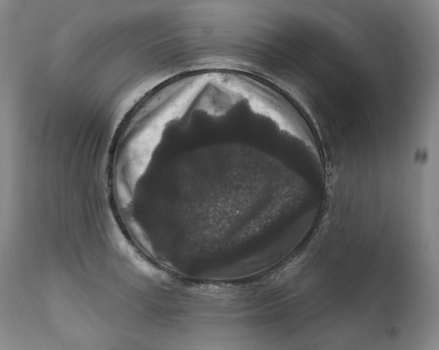 X0000111640995200908071338