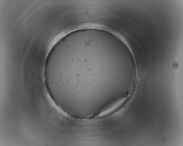 X0000111640997200908071338