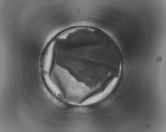 X0000111640998200908071338