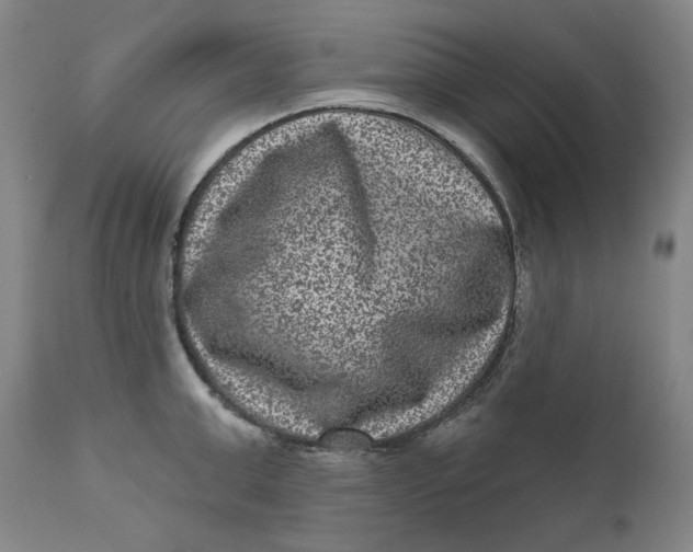 X0000111640999200908071338