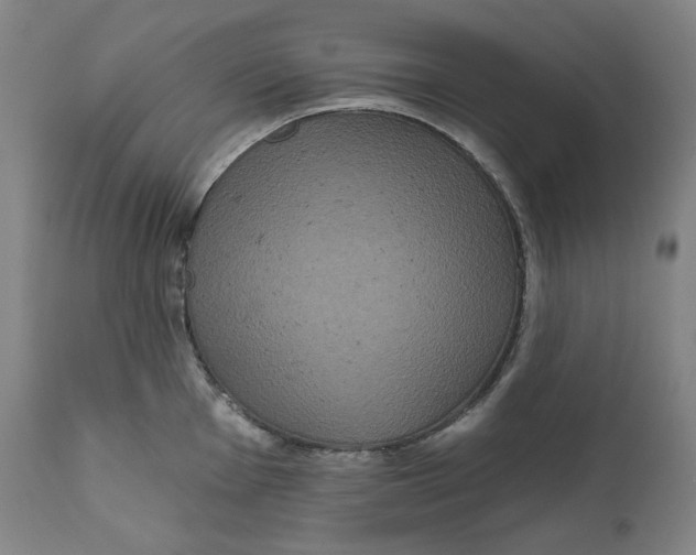 X0000111641001200908071338